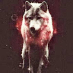 Meet your Posher, Deana